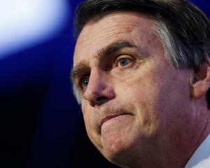 Bolsonaro, de leão raivoso a gatinho