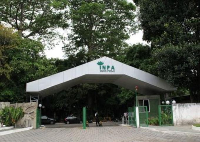 Inpa abre processo seletivo para programa de doutorado no Amazonas