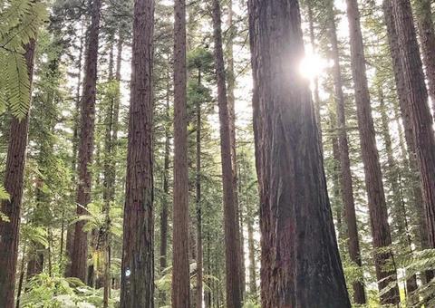 Príncipe Harry divulga foto romântica de Meghan Markle