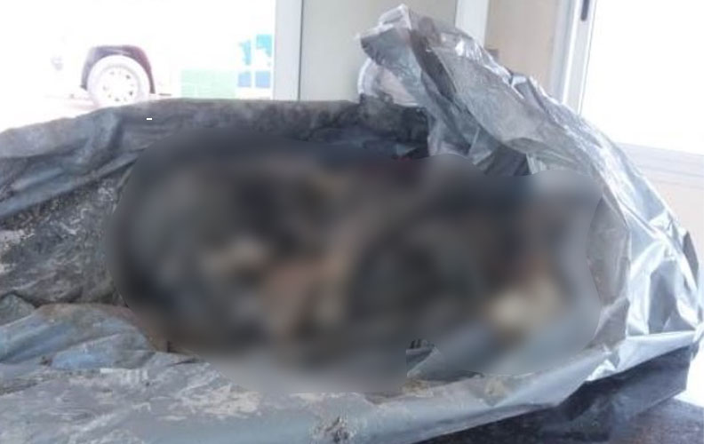 Ossada que pode ser de adolescente desaparecido é encontrada no Amazonas