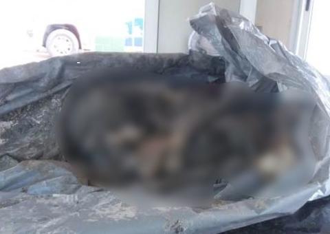 Ossada que pode ser de adolescente desaparecido é encontrada no Amazonas