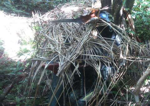 Camufladas com galhos e folhas, motos roubadas são encontradas em trilha no Amazonas