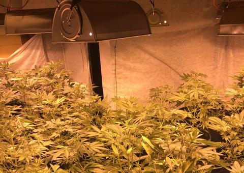 Polícia desarticula mega laboratório de drogas e prende cinco pessoas em Manaus