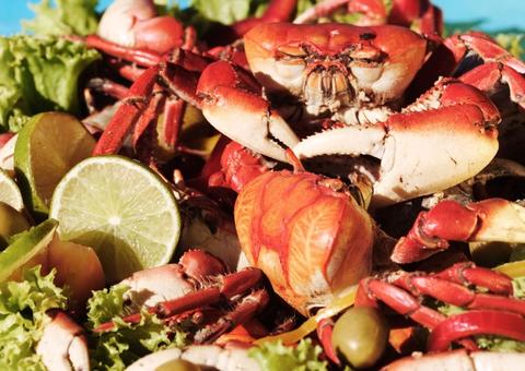 MP pretende contratar buffet de luxo com direito a patinhas de caranguejo, siri e tábua de queijos