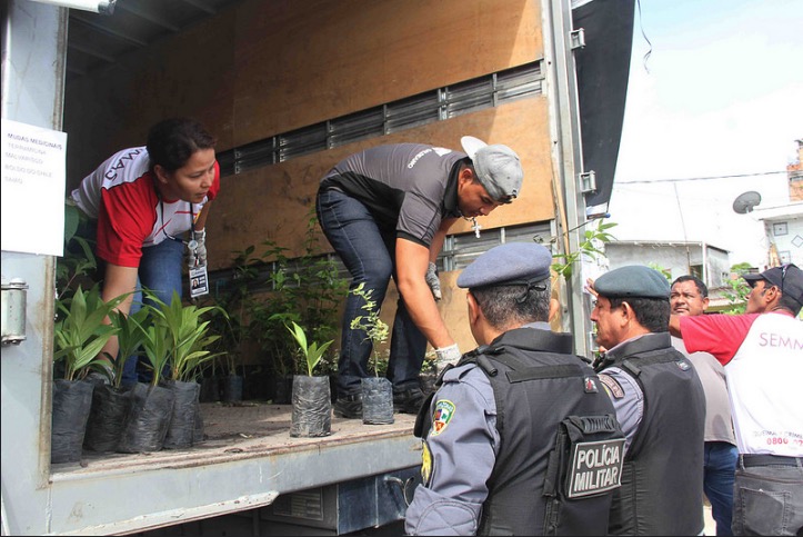 Distribuição de mudas atrai crianças, adolescentes e idosos em Manaus