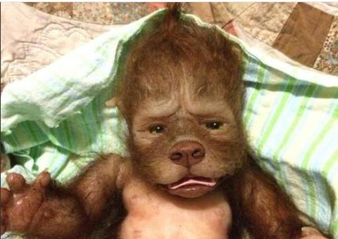 Nova mania entre adultos são assustadores e custam até R$ 5 mil