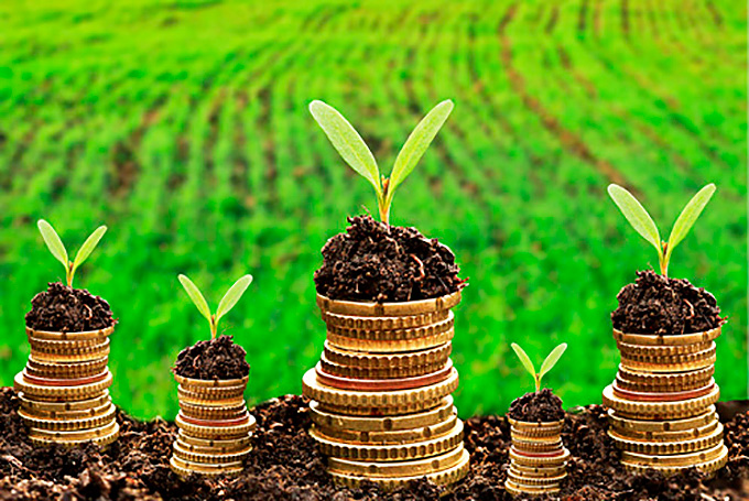 Lei concede descontos para pagamentos de dívidas de crédito rural