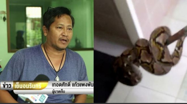 Homem é atacado no pênis por cobra ao sentar em vaso