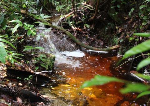 Homem ataca e tenta estuprar indígena às margens de igarapé em Manaus