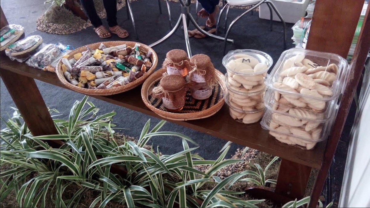 Prefeitura apresenta projetos sustentáveis em seminário do TCE