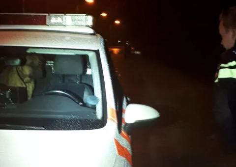 Policiais colocam cão em viatura para protegê-lo da chuva e animal tem atitude inesperada