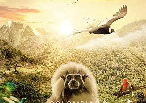 Mostra de Cinema Colombiano movimenta Cine Teatro Guarany