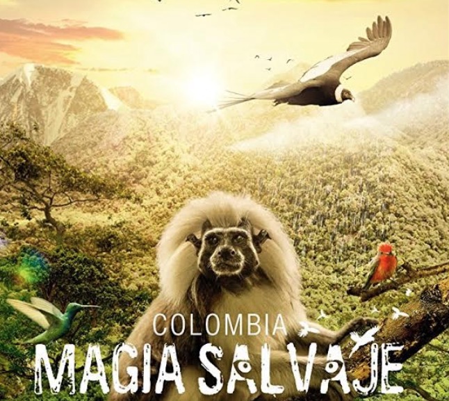 Mostra de Cinema Colombiano movimenta Cine Teatro Guarany