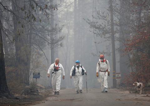 Incêndio nos EUA: 1,3 mil estão desaparecidos; 79 mortes confirmadas