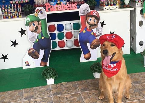 Cachorro ganha festa de R$ 5 mil com bolo, coxinha e brigadeiro