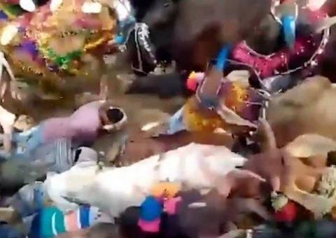 Vídeo chocante mostra fiéis sendo pisoteados por vacas para terem 'sorte'