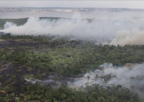 TCE convoca órgãos ambientais para tratar das queimadas em Manaus