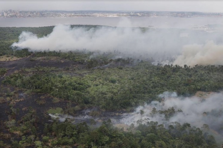 TCE convoca órgãos ambientais para tratar das queimadas em Manaus