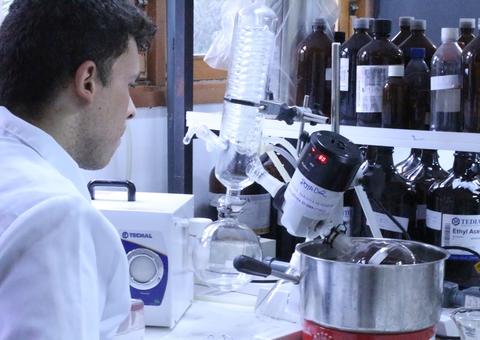 Plantas amazônicas podem auxiliar no tratamento de inflamações uterinas e obesidade