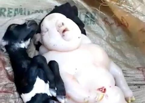 Criatura nasce com aparência 'meio-porca, meio humana' e apavora moradores
