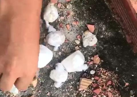 Em Manaus, homem é preso com droga escondida em tijolo de residência 