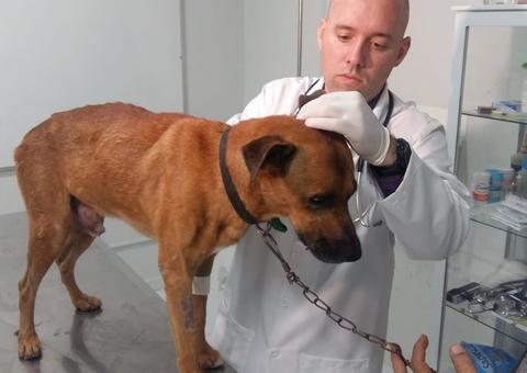 Ação oferta triagem e exames gratuitos para Pets nesta sexta-feira