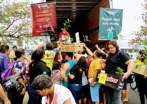 Em menos de quatro meses, 8 mil mudas foram distribuídas em Manaus