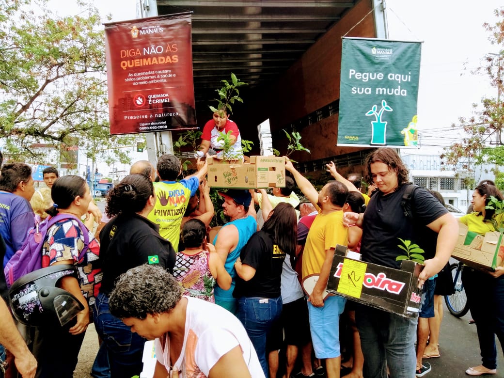 Em menos de quatro meses, 8 mil mudas foram distribuídas em Manaus