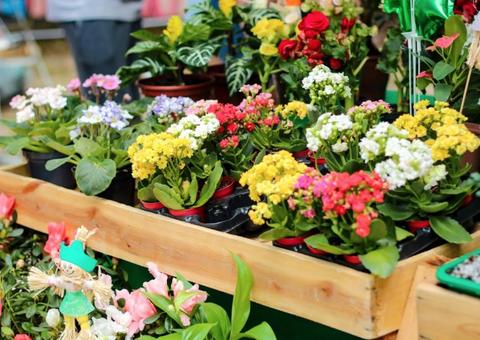 Última Feira da FAS do ano reúne música, lazer e gastronomia