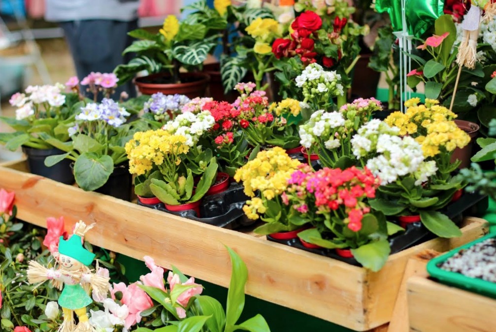 Última Feira da FAS do ano reúne música, lazer e gastronomia