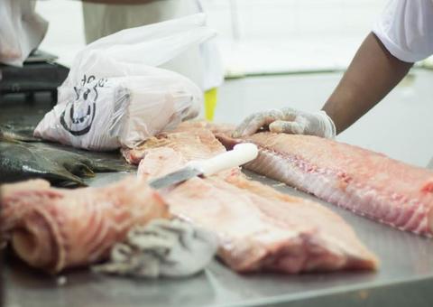 Feira do Pirarucu vai vender 5,5 toneladas de peixe a partir de R$ 5 