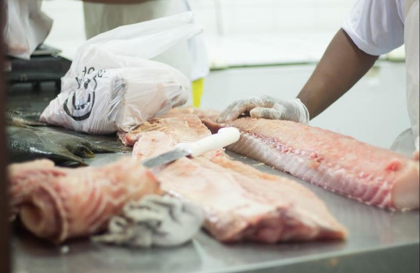 Feira do Pirarucu vai vender 5,5 toneladas de peixe a partir de R$ 5 