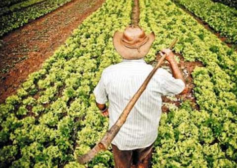  Mais de 300 títulos de terras são entregues no Amazonas