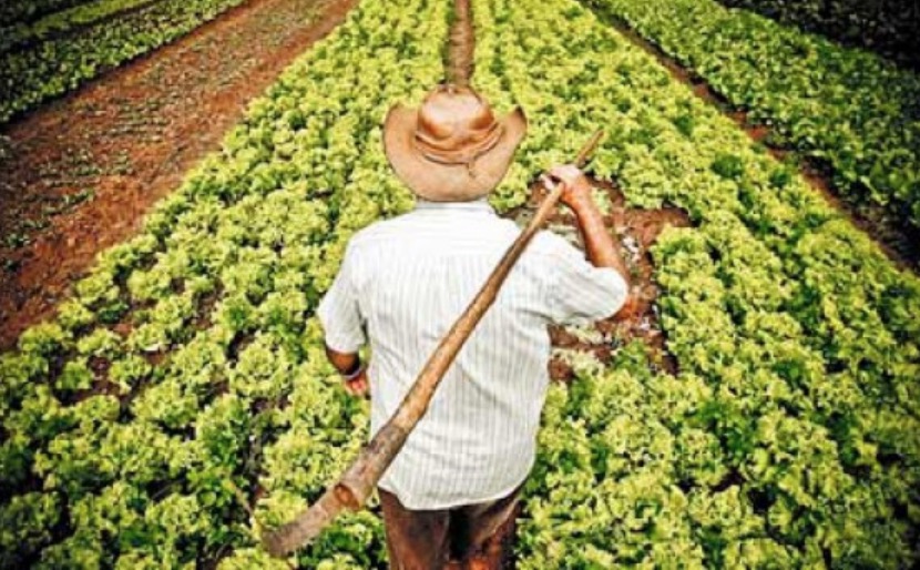  Mais de 300 títulos de terras são entregues no Amazonas