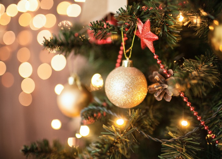 Inauguração da maior árvore do ‘Natal do Abraço’ abre o mês de dezembro