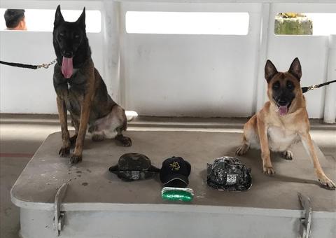 Polícia apreende entorpecente em embarcação no Amazonas 