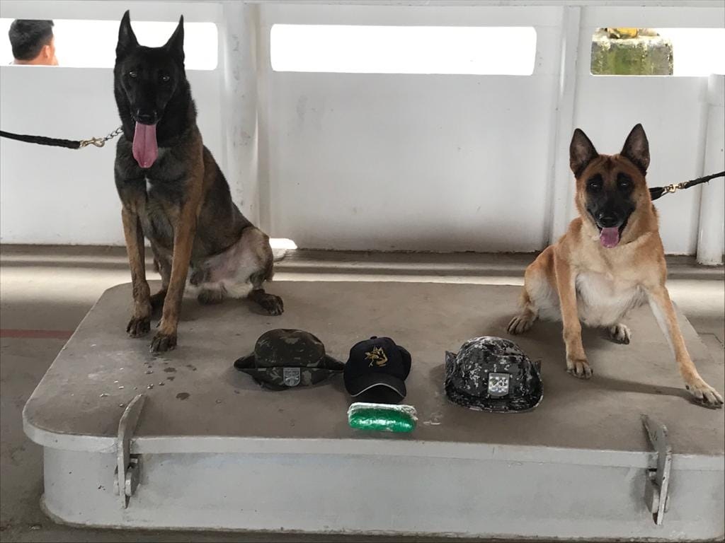 Polícia apreende entorpecente em embarcação no Amazonas 