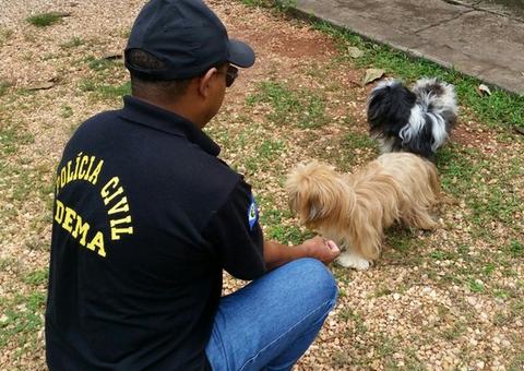 Universitário que postou vídeo estuprando cadela na internet é indiciado pela Polícia