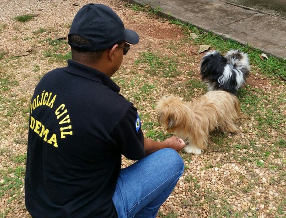 Universitário que postou vídeo estuprando cadela na internet é indiciado pela Polícia