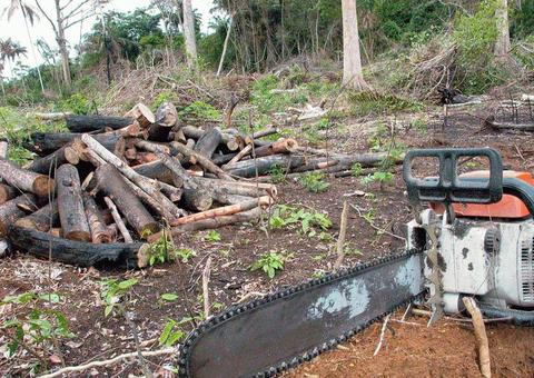 Noruega doará US$ 70 milhões ao Fundo Amazônia