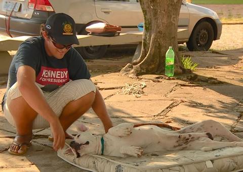 Sem emprego, vendedor vai morar dentro do carro e leva cão junto