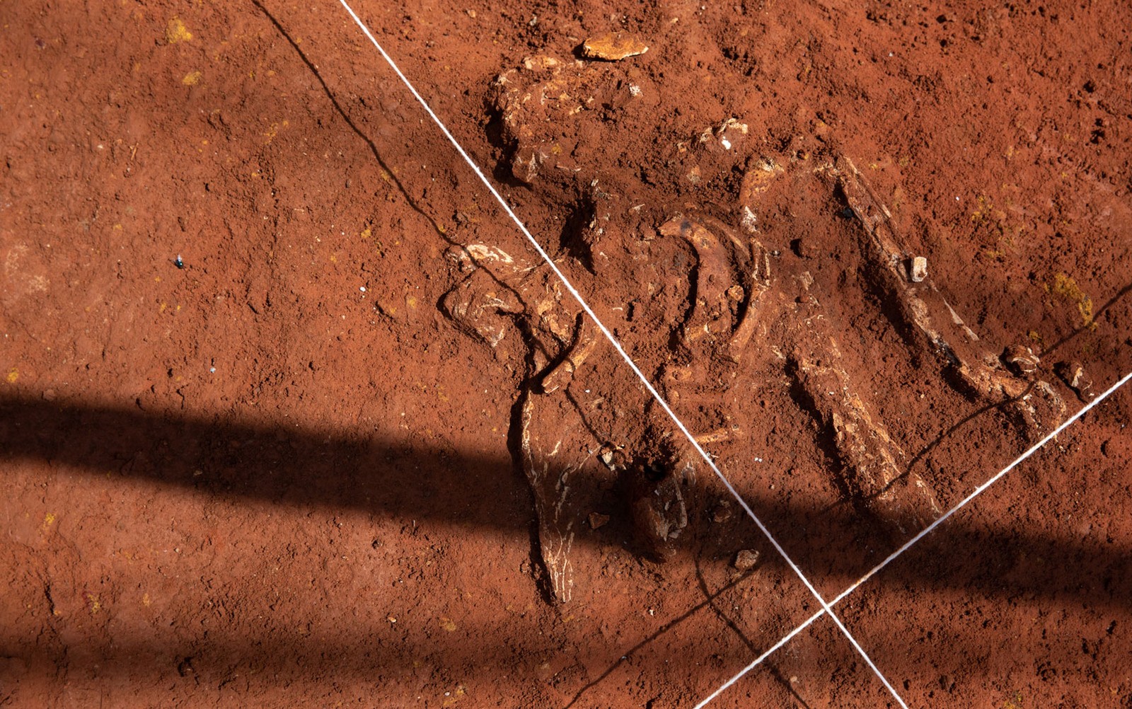 Arqueólogos acham ossadas da época da escravidão