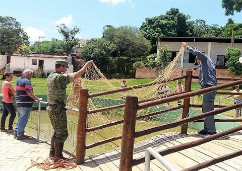 Policial é denunciado por jogar gato para jacaré em lago