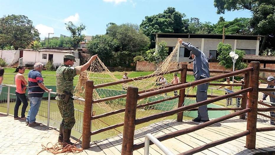 Policial é denunciado por jogar gato para jacaré em lago