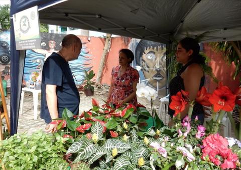 Feira da FAS é destaque na agenda cultural de dezembro