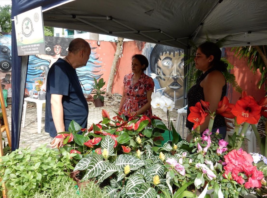 Feira da FAS é destaque na agenda cultural de dezembro