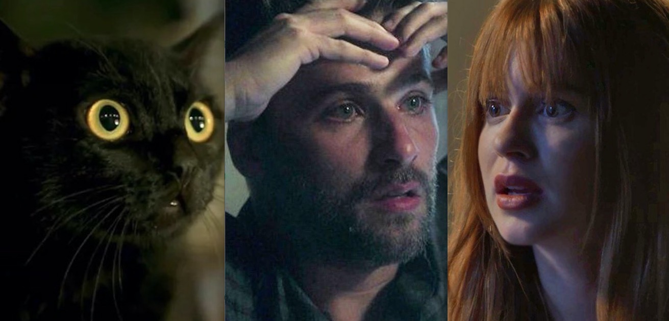 Sexo proibido e maldição: descubra o segredo do gato León, de 'O Sétimo Guardião'