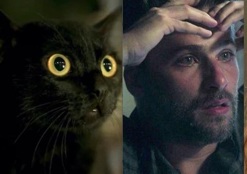 Sexo proibido e maldição: descubra o segredo do gato León, de 'O Sétimo Guardião'