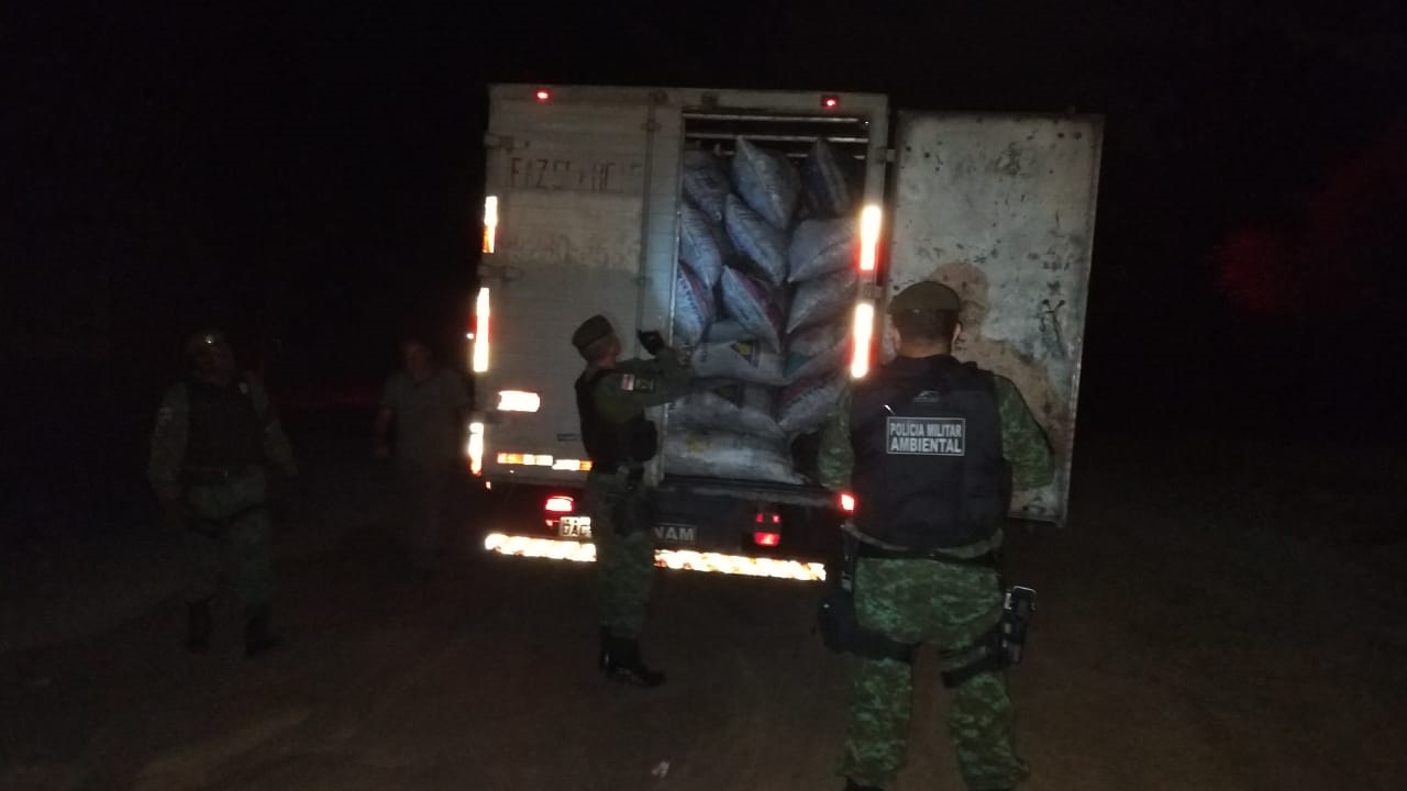 Polícia ambiental apreende transporte ilegal de madeira e carvão mineral no Amazonas 