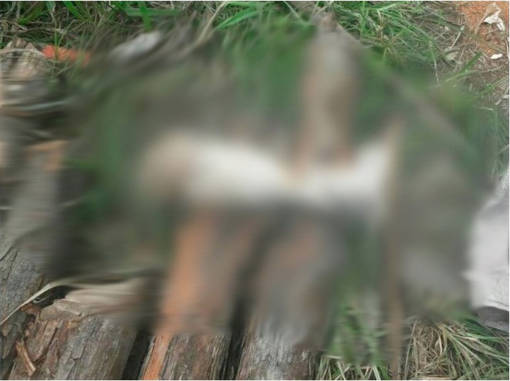 Partes de corpo humano são encontradas em igarapés em Manaus